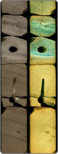 Core Fluids