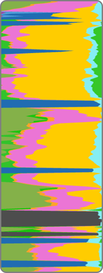 Volume Models